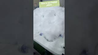 How Do You Fix A Foamy Spa