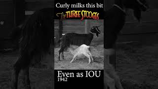 Three Stooges - Curly Milks A Goat