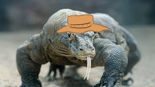 Komodo Dragon