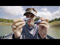 Crankbait Tips & Common MISTAKES To AVOID! (Bass Fishing Tips)