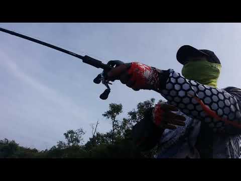 Sebangau River Black Water