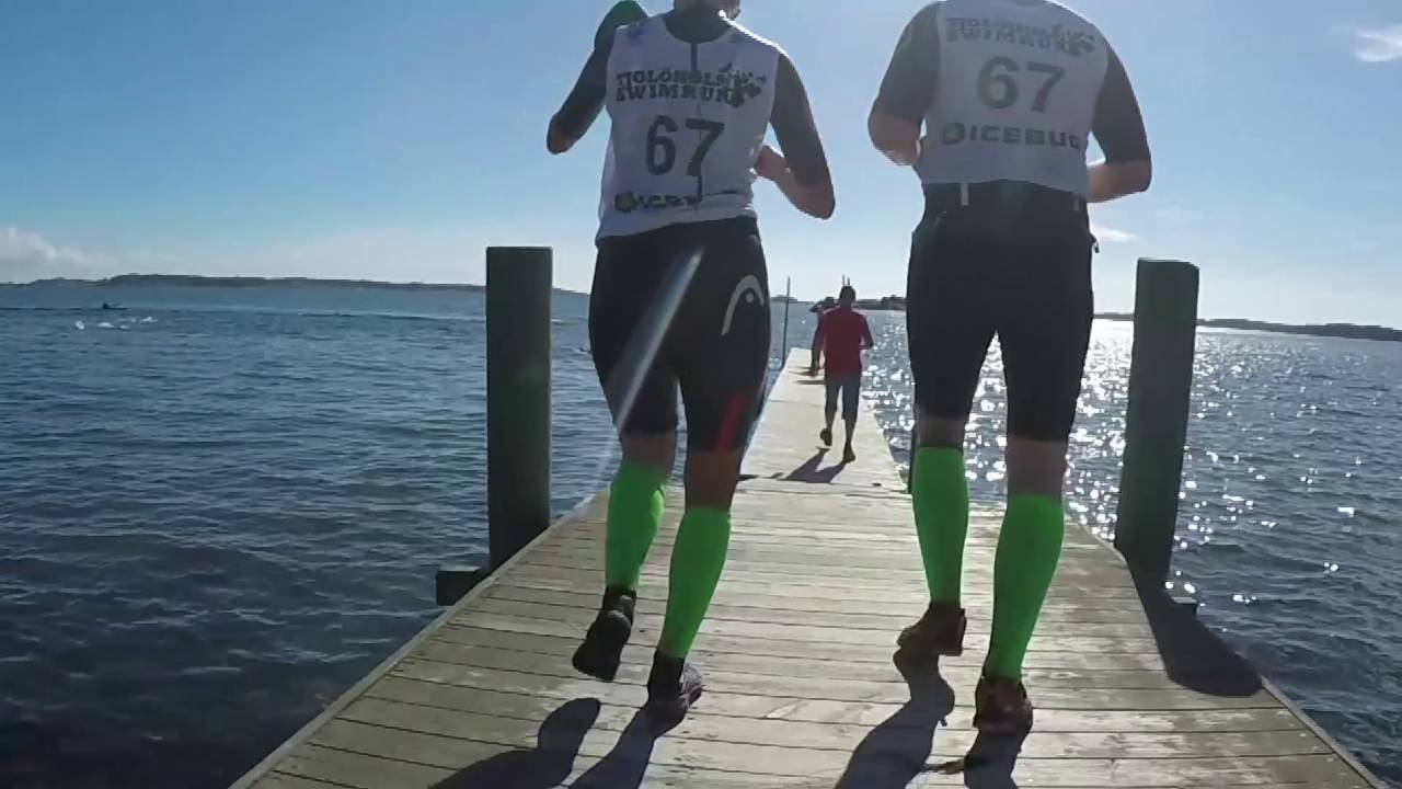 Alla videoklipp