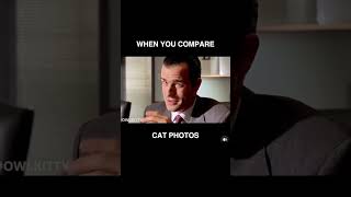American Psycho Cat Parody