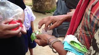 SE Asia Beetle Nut