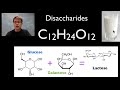 carbohydrates