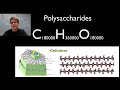 carbohydrates