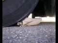 Nice Bootie Well Worn images Nice Bootie Well Worn
