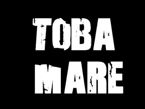 Vita De Vie - Basul Si Cu Toba Mare (LYRICS) HD