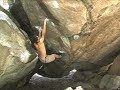 V13