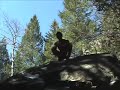 V13