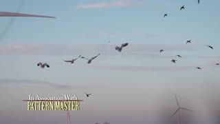 Avian X TV episode 2 teaser