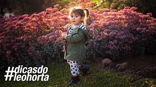 Como e quando usar a luz de contorno #dicasdoleohorta - 026