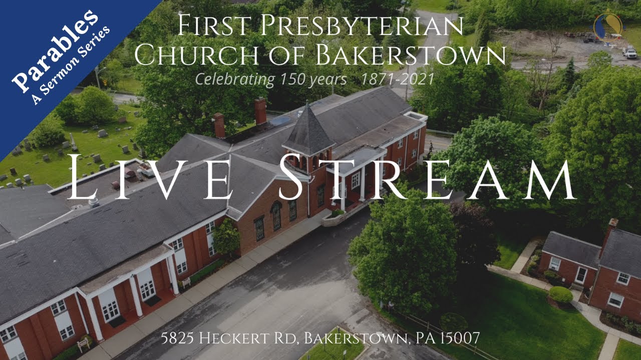 Parables of the Treasure and the Pearl - 07/25/2021