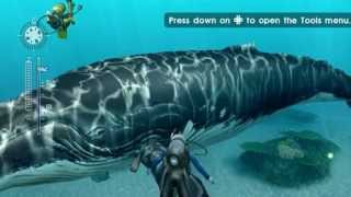 Let's Play Endless Ocean: Blue World, Episode 1: The Blue Tang Secret
