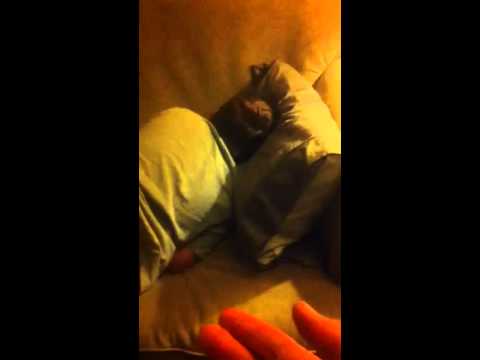 Sleepwalker "Smack" Cam