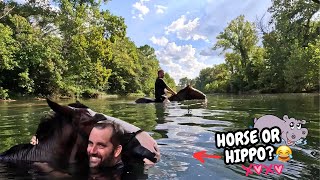 Rescue Clydesdale  Swims Like A Hippo😂
