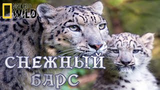 Холодное Королевство Снежного Барса. #Документальный Фильм. National Geographic 12+ Hd