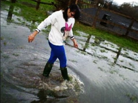 Messy Stable Fun :)