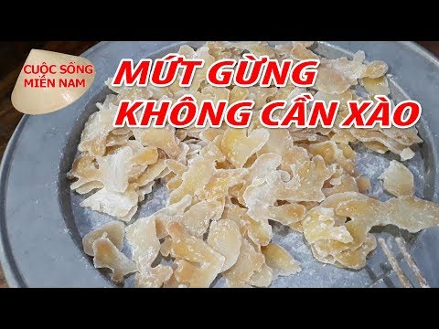 Làm Mứt Gừng Không Xào - Nam Việt 154