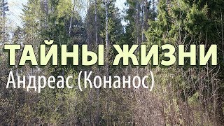 Твои Проблемы Разрешатся Только Тогда, Когда... - Андреас (Конанос) Тайны Жизни