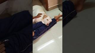 Kobam Vandhuttu Gakaharku