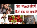 गांजा शरीर में कितनी देर तक रहता है? Weed ko Body Me Kab Tak Detect Kiya ja Sakta Hai? #Ganja