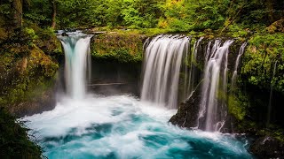 Relaxing Music 24/7, Reiki Healing Music, Meditation Music, Sleeping Music, Study Music, Zen Music