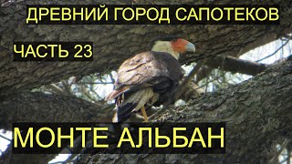 Видео Мексика, Оахака де Хуарес. Древний город цивилизации сапотеков Монте Альбан. Часть от Суровый Челябинский Пенсионер, Валье-де-Хуарес, Мексика