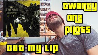Musician Reacts To & Breaks Down Cut My Lip By Twenty One Pilots