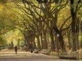 Autumn In New York Sweet Jazz Trio