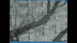 The Palisades - Alternatively Wendnesday