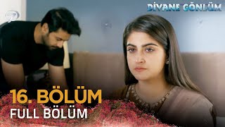 Divane Gönlüm - Deewangi 16. Bölüm