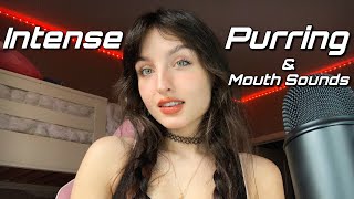 Asmr Intense Purring, Unpredictable Mouth Sounds, & Hand Movements