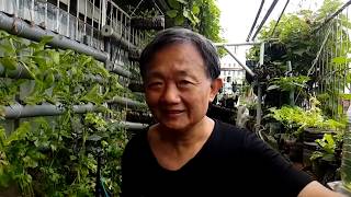 MR. ANDY愛迪先生/ 的直播視訊