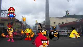 Red Bird And The Others In Philippines Part 8