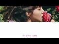 Yellow Light Video preview