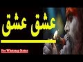 Punjabi Poetry || Bara Ishq Ishq Tu Karna Ain ||Waris Shah|| Punjabi shayari by Rehmat Rana Official