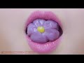 Asmr Eating Lips Focus Flower Rice Cake Sticky Chewy Eating Asmr Eating Lips Focus Flower Rice Cake Sticky Chewy Eating
