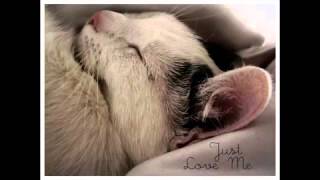 Yiruma Sweet Dreams My Dear Yiruma Sweet Dreams My Dear