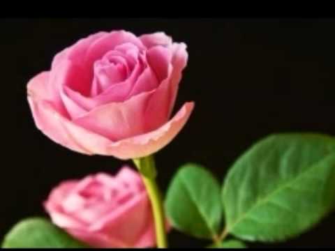 Aaj Pehli Baar Dil Ki Baat Ki Hai Full Song (HQ) With Lyrics...