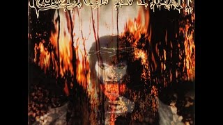 Watch Dark Army From The Cradle To Enslave video