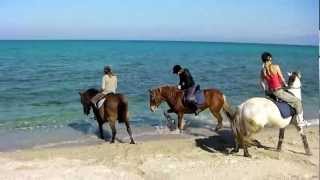 Epic Fail - Horse Riding on the Beach