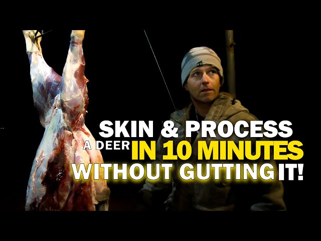Watch Skin and Process a Deer in 10 Minutes Without Gutting It on YouTube.