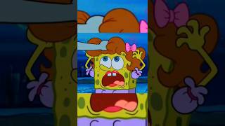 Spongebob Long Lost Sister Theory