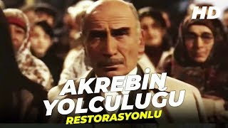 Akrebin Yolculuğu | Tuncel Kurtiz Türk Filmi |  Film İzle