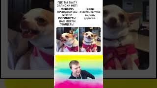 #Memes #Жиза #Glavstroy #Пес