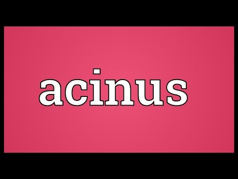 Header of acinus