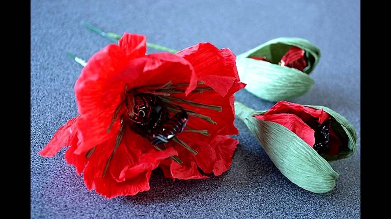 Лысые крысы Мои домашние питомцы Недостатки содержания крыс-сфинксов Как правильно наращивают ногти в домашних условиях