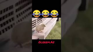 Statuslar Gulmeli