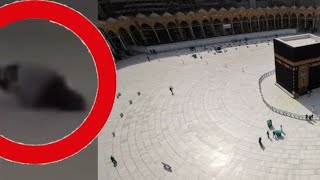 Kabede Secdeye Kapanan Kuş